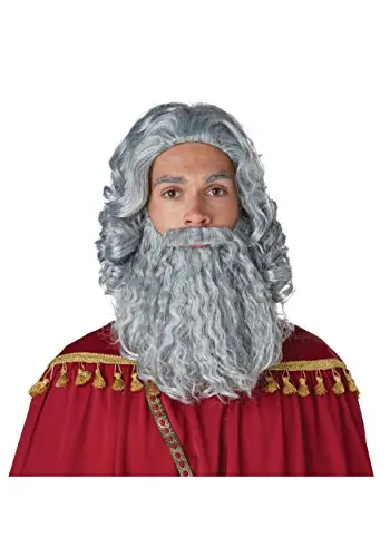 California Costumes Wise Man Gray Wig and Beard