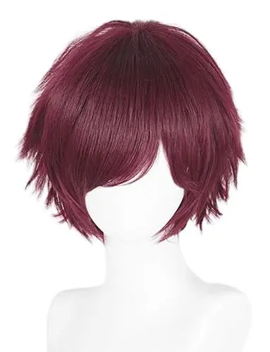 LABEAUTE Max Beauty Anime Dark Red Cosplay Wigs With Bangs Short Unisex Fluffy Heat Resistant Hair